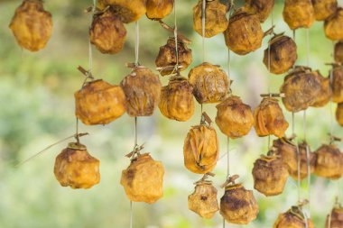 Kurutulmuş hurma Gürcü köyde yapım süreci