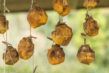 Kurutulmuş hurma Gürcü köyde yapım süreci