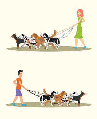 Birçok köpek yürüyen bir kadın ve bir erkek ile resimde kümesi