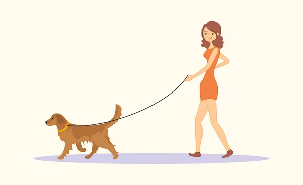 Wanita atau gadis muda dengan pakaian santai berjalan anjing Golden retriever berkembang biak. Ilustrasi vektor diisolasi pada latar belakang putih - Stok Vektor