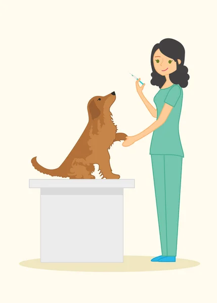 Wanita lucu dokter hewan memeriksa anjing jenis anjing golden retriever. Di tangannya ia memegang jarum suntik. Ilustrasi vektor - Stok Vektor