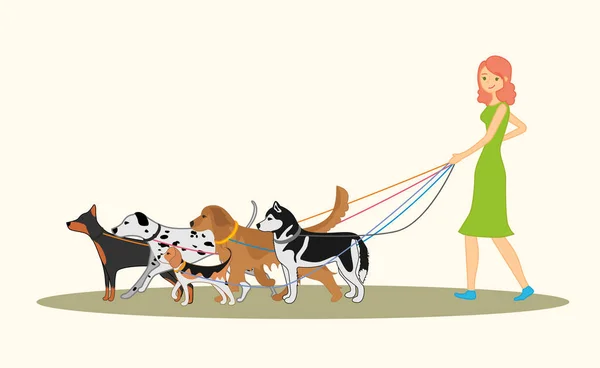 Menina ruiva bonito andando muitos cães de raças diferentes — Vetor de Stock
