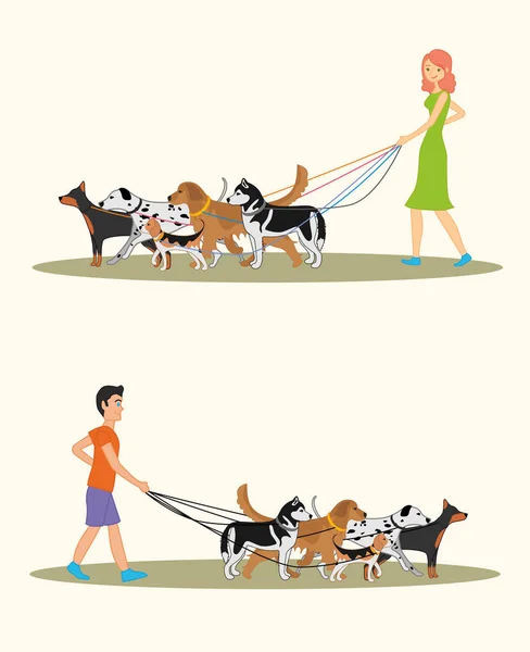 Set van afbeelding met een man en een vrouw lopen veel honden — Stockvector
