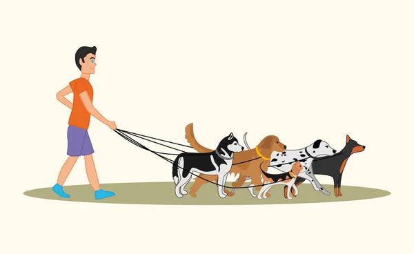 Manusia berjalan banyak anjing dari keturunan yang berbeda. Vektor ilustrasi anjing berjalan - Stok Vektor