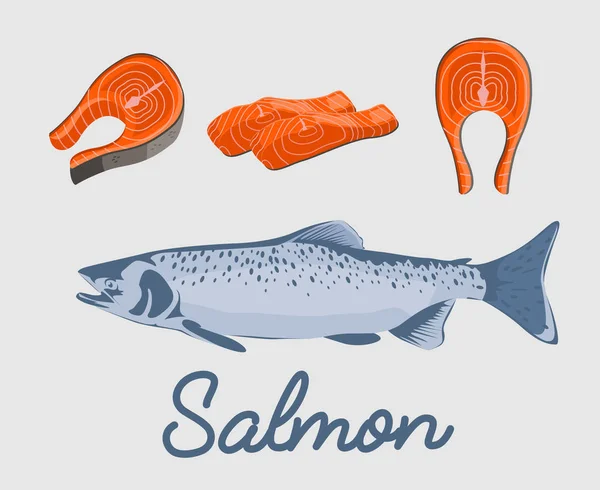 Bistecca di salmone e pesce su sfondo bianco — Vettoriale Stock
