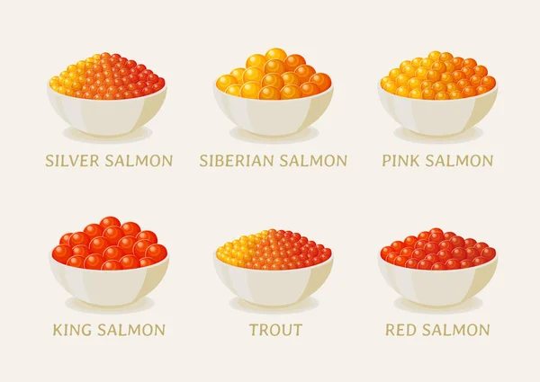 Set of red caviar of salmon fish — Stock Vector