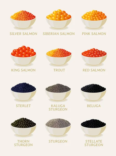 Ensemble de caviar rouge et noir. Illustrations de fruits de mer sur fond blanc — Image vectorielle