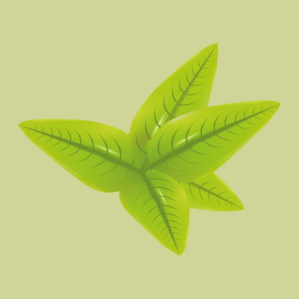Green tea leaves — Stock Vector