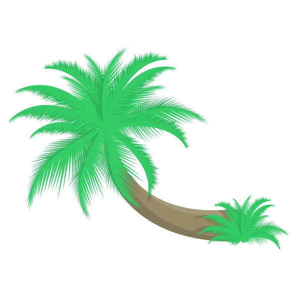 Palmera vector ilustración — Vector de stock