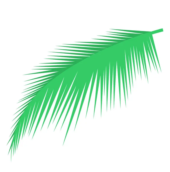 Objeto vector hoja de palma — Vector de stock