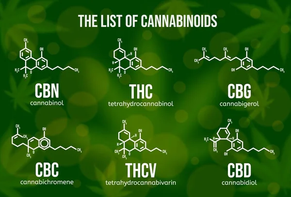 Ilustración vectorial realista de compuestos cannabinoides. Estructura química de los componentes del cannabis . — Vector de stock