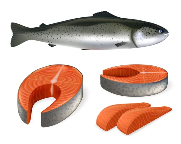 Illustrazione vettoriale realistica dei pesci salmone. Salmone intero, pali e fette . — Vettoriale Stock