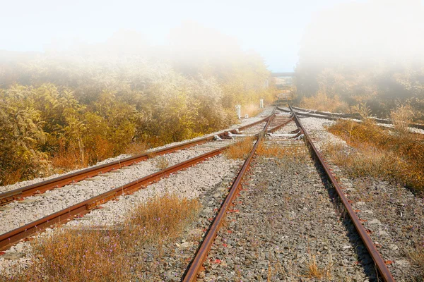 Σιδηροδρομικές γραμμές στην ομίχλη — Φωτογραφία Αρχείου