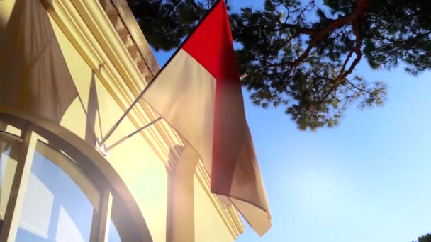 Όμορφη Μονακό κόκκινο και λευκό σημαία — Αρχείο Βίντεο