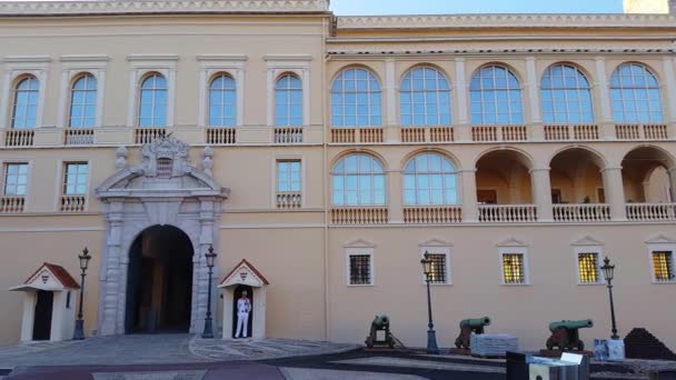 Panorámás kilátás nyílik a hercegi palota-Monaco — Stock videók