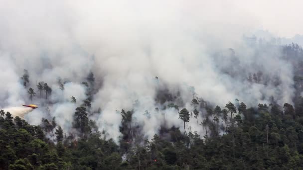 Un hélicoptère dépose de l'eau sur un feu de forêt 