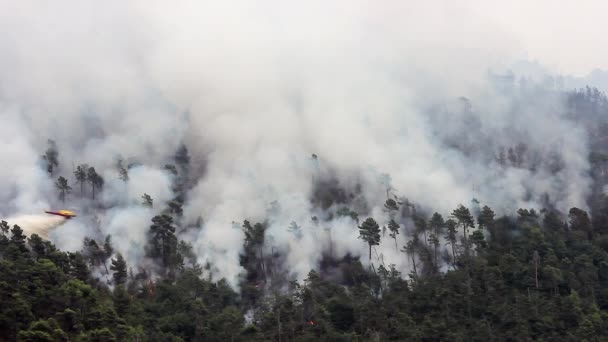 Вертолет капает воду на лесной пожар — стоковое видео