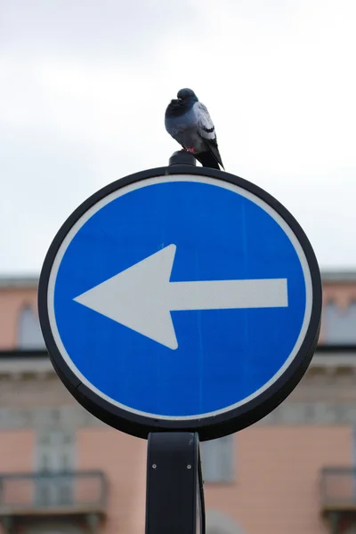 One Way Directional Traffic Sign in Itali — Stock Photo, Image