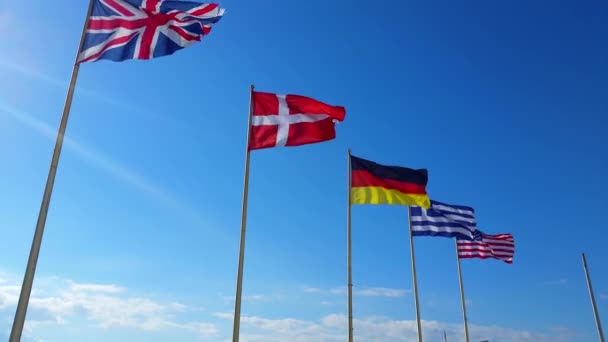 Hermosas banderas del mundo ondean en un viento — Vídeos de Stock