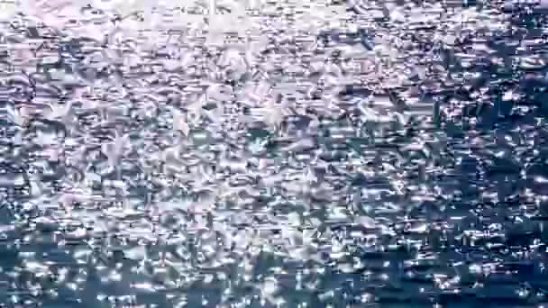 Schilderachtige sprankelende blauwe wateroppervlak met zon lichtpad — Stockvideo