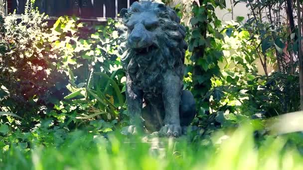 Standbeeld van een leeuw in de tuin — Stockvideo