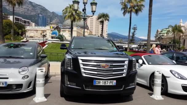 Cadillac Escalade SUV — Stok video