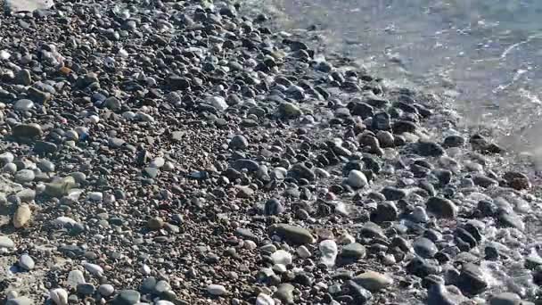 Vagues de mer sur les cailloux — Video