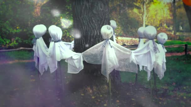 Fantasmas de Halloween em torno de uma árvore — Vídeo de Stock