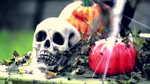 Skelett huvud med Halloweenpumpor — Stockvideo