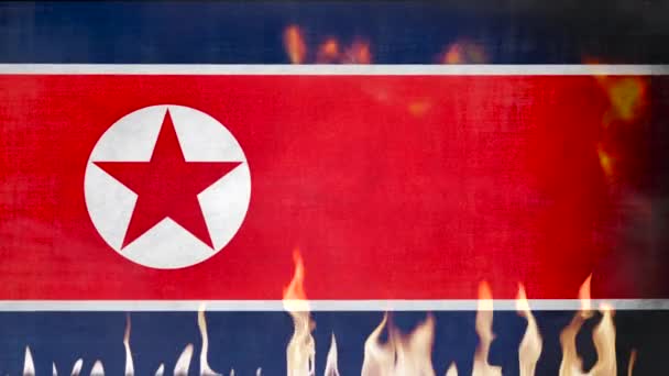 火災で北朝鮮の旗 — ストック動画