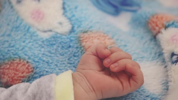 Newborn Baby Boy Hand Extreme Close Two Month Old Baby — Stock Video