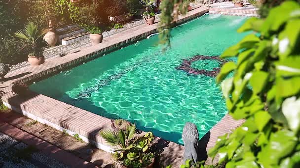 Incredibile Piscina Lusso Bellissimo Giardino Decorato — Video Stock