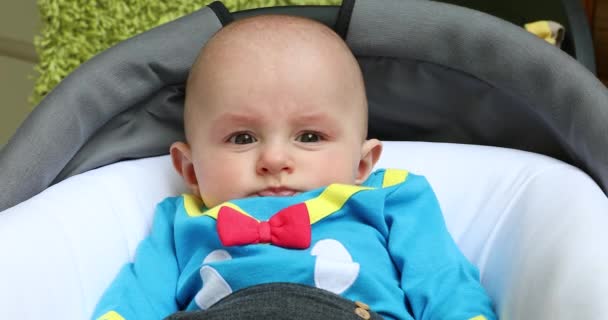 Retrato Lindo Bebé Cinco Meses Edad Con Disfraz Divertido Pram — Vídeo de stock