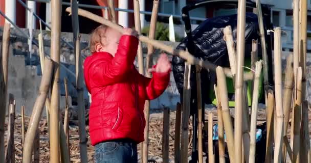 Blond Jongetje Speelt Met Een Bamboe Stok Het Strand Alleen — Stockvideo