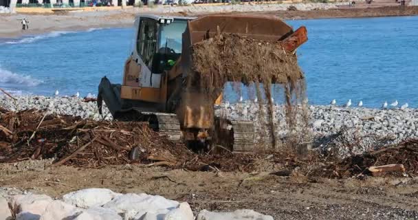 Menton Frankrijk Januari 2020 Liebherr 634 Track Loader Het Schoonmaken — Stockvideo