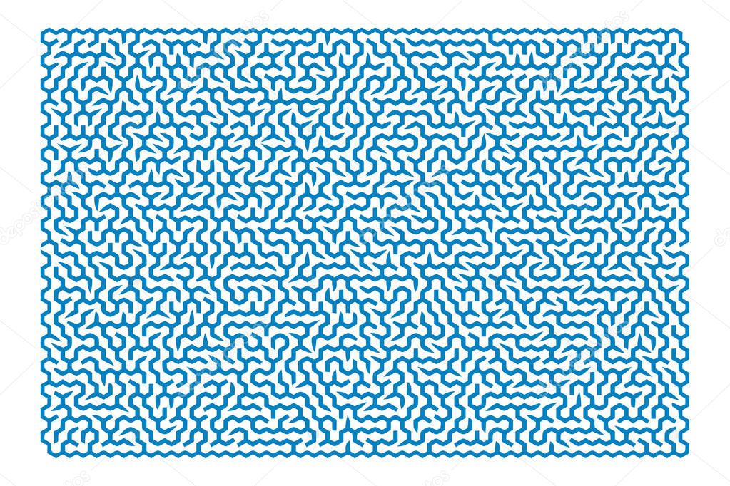 Difficult Vector   Maze for Children