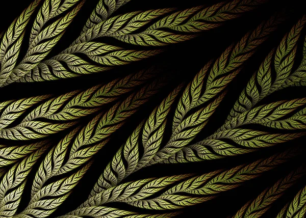 Fractal Pinnate Branches Fractal Art — Φωτογραφία Αρχείου