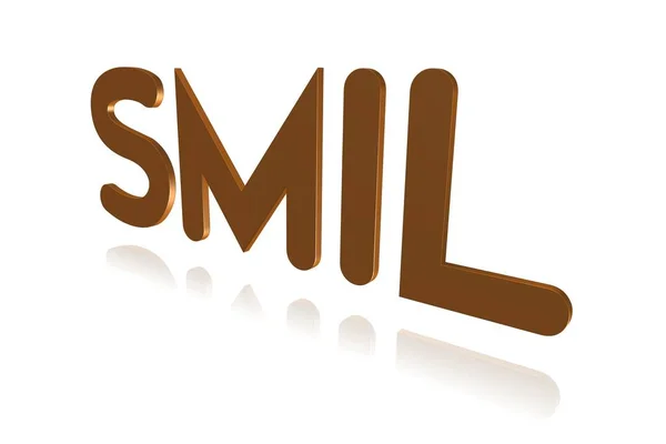 Terme Programmation Smil Synchronized Multimedia Integration Language Image — Photo