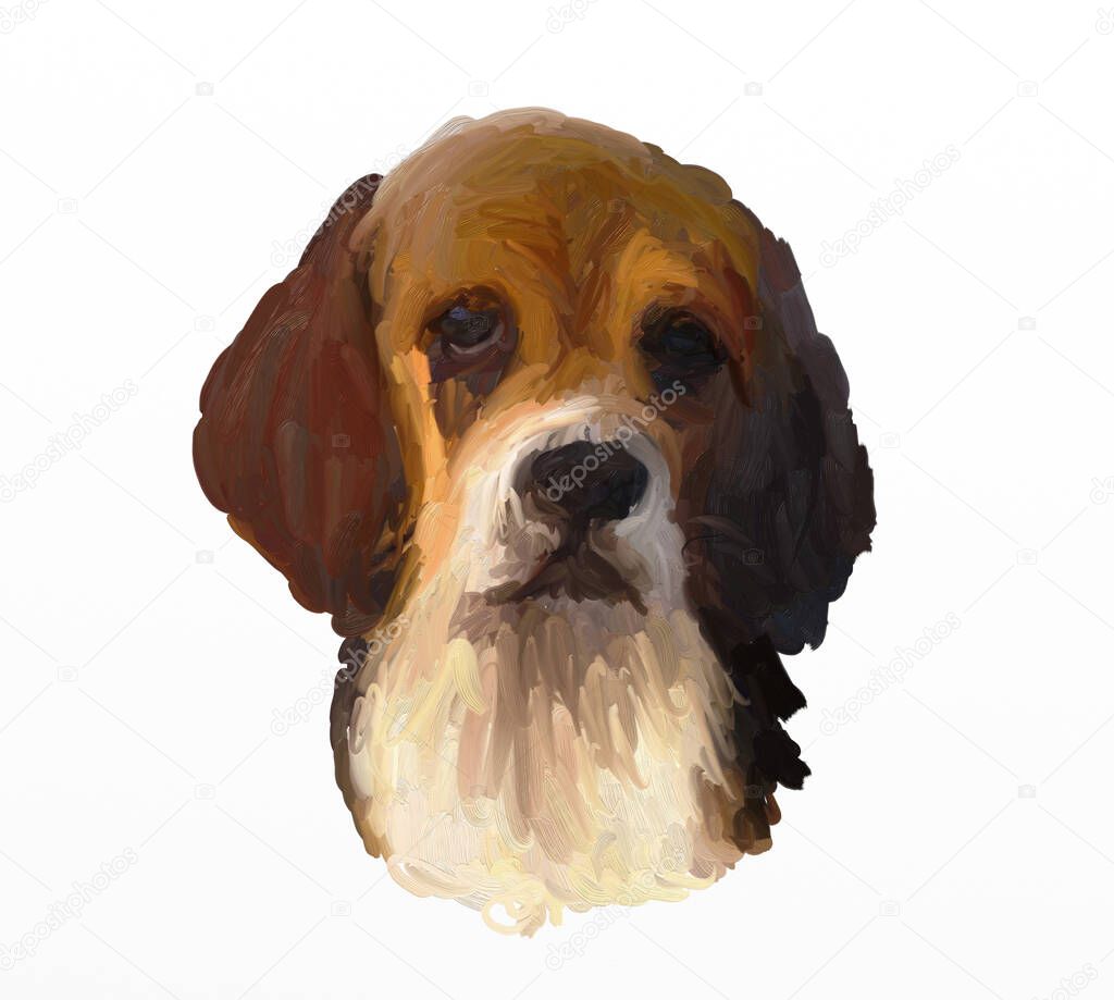 Oil Painting Dog Head on White Background - Drawing Portrait of Puppy Beagle or Foxhound