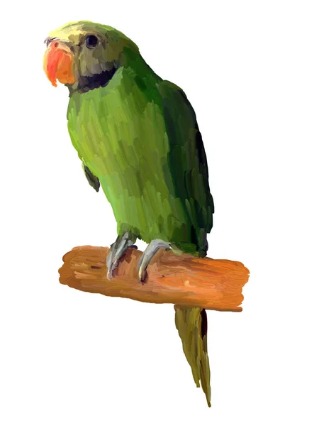 Malarstwo Olejne Zielona Papuga Białym Tle Rysunek Portret Ptaka — Zdjęcie stockowe