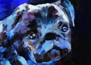 Pug Puppy 'nin yağlı boya portresi. Mavi ve mor renkler, gece ışıkları, büyük fırça darbeleri.. 
