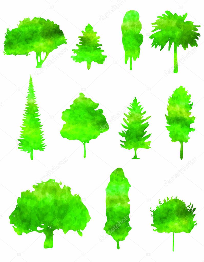 Green Watercolor  Forest Trees Silhouettes - vector illustration