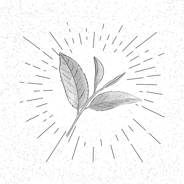 Symbol Life Icon New Sprout Concept Vektor Illusztráció — Stock Vector