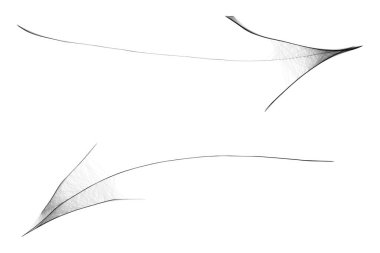 Araknoid Web Oku - Kasvetli Cadılar Bayramı Konsepti - Çizim Vektörü İllüstrasyonu  