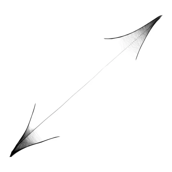 Arachnoid Web Arrow Θλιμμένη Απόκριες Concept Σχέδιο Εικονογράφηση Διάνυσμα Σκίτσο — Διανυσματικό Αρχείο