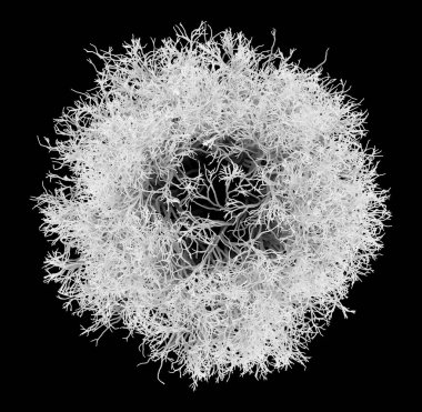 Fraktal Soyut Helikal Arkaplan - Fraktal Sanat