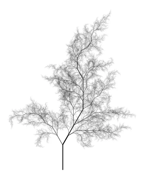 Fractal Árbol Ramificación Sistema Autosimilar Generado Por Computadora Plana Arte —  Fotos de Stock