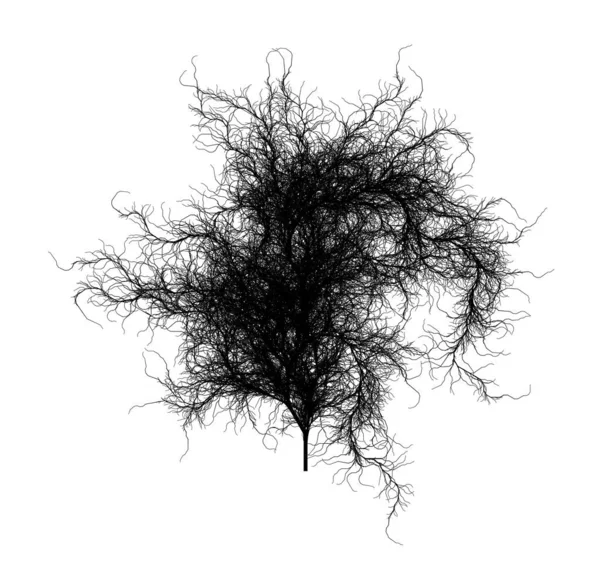 Platt Dator Genererat Själv Liknande System Branching Tree Fractal Generativ — Stockfoto