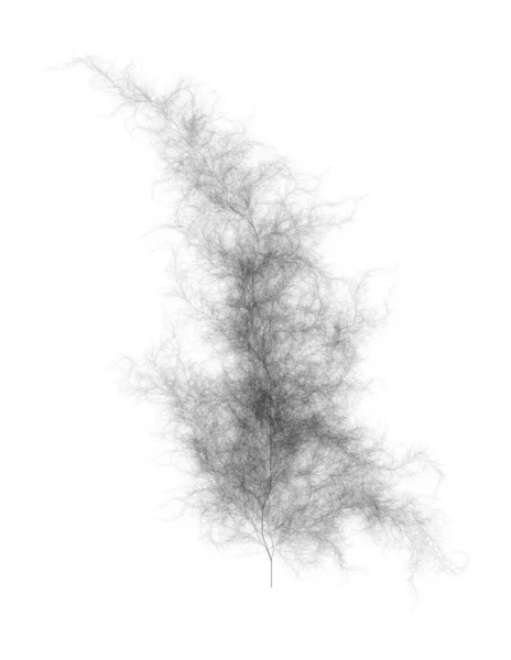 Düz Bilgisayar Oluşturulmuş Benzer Sistem Dallandırma Ağacı Fraktal Üretim Sanatı — Stok fotoğraf