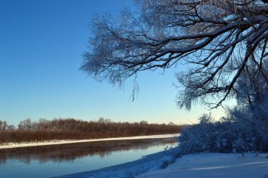 Nehir ve Ormanlı Muhteşem Kış Fotoğrafları